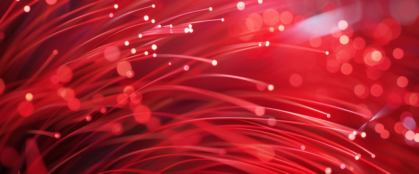 SAP Go-live: Das System ist ready – doch ist Ihr Unternehmen auch Business-ready?